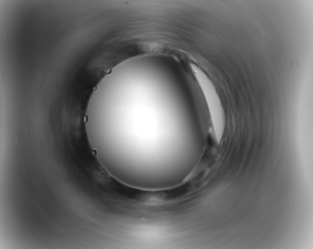 X0000088380525200706051102