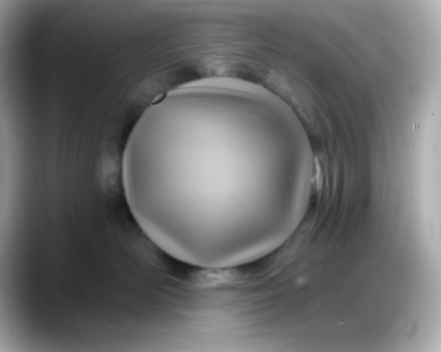 X0000088380526200706051102
