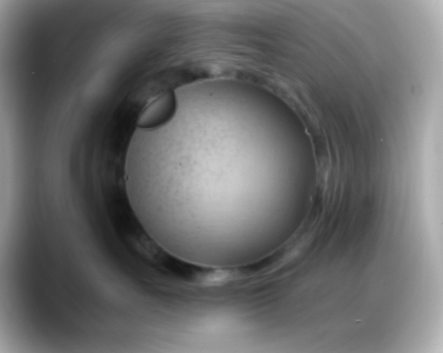 X0000088380527200706051102