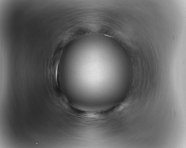 X0000088380528200706051102