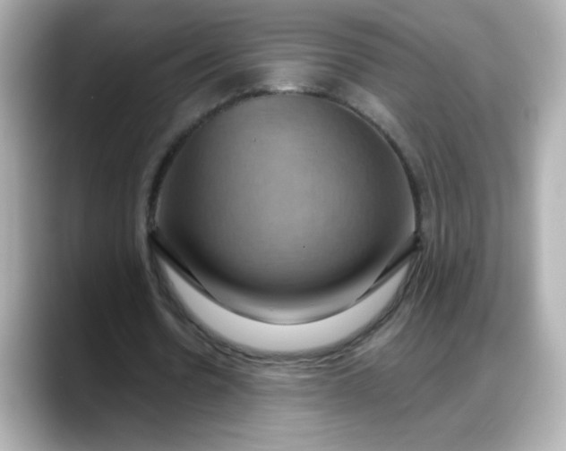X0000088380530200706051101