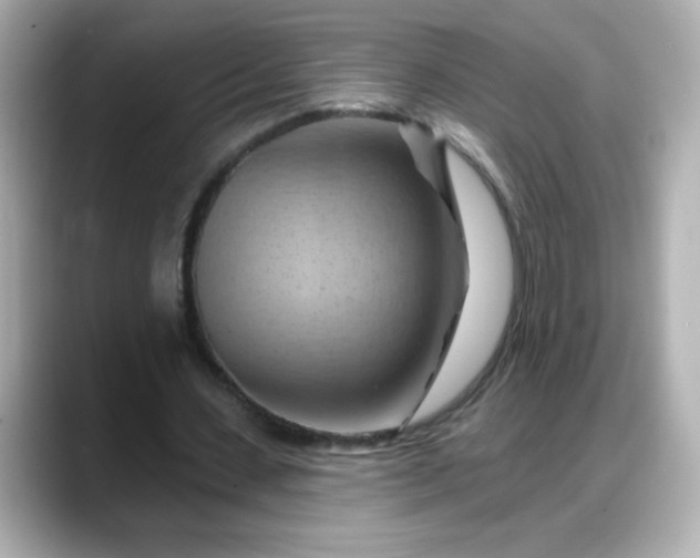 X0000088380531200706051101