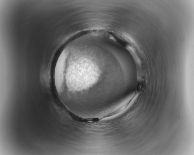 X0000088380532200706051101