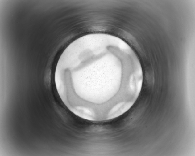 X0000088380534200706051101