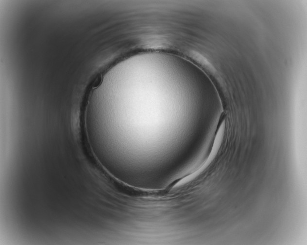 X0000088380535200706051101