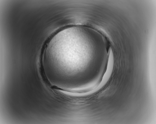 X0000088380536200706051101