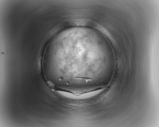 X0000088380537200706051101