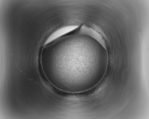 X0000088380538200706051101