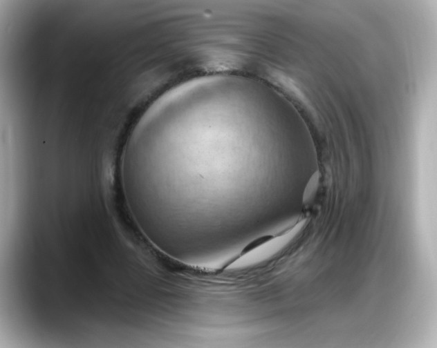 X0000088380539200706051101