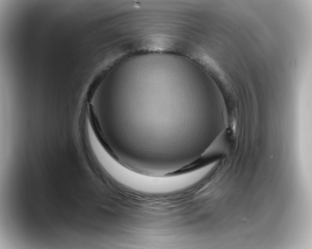 X0000088380540200706051101