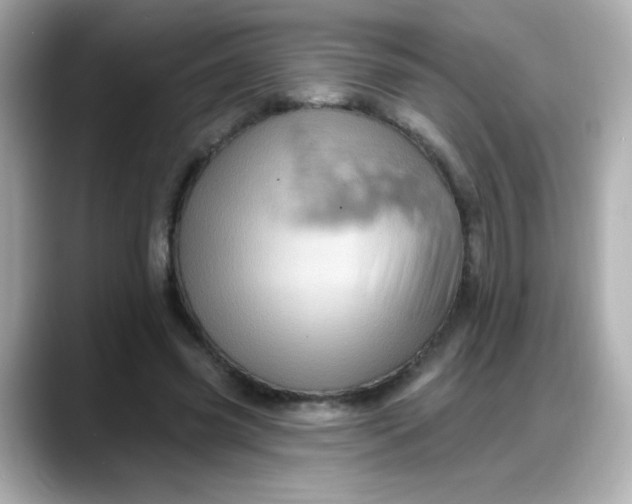 X0000088380541200706051101