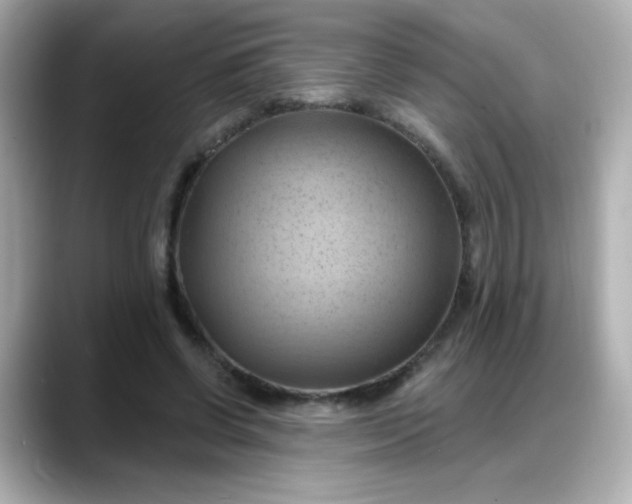 X0000088380542200706051101