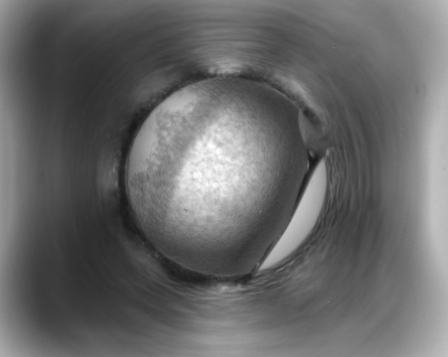 X0000088380543200706051101