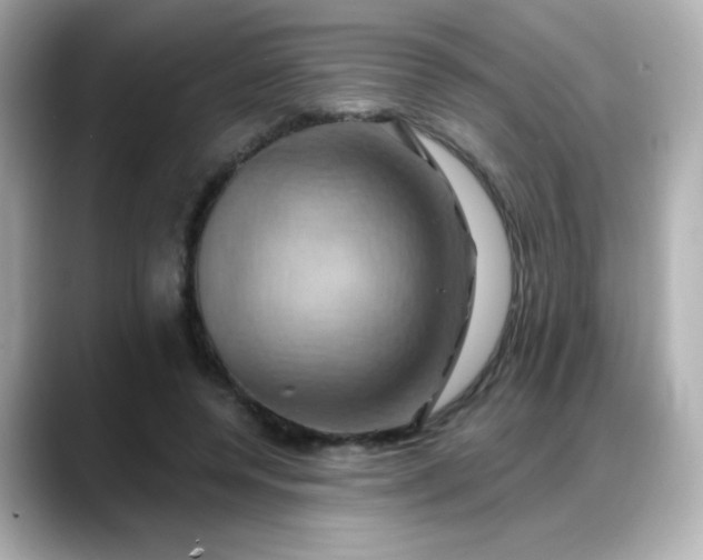 X0000088380544200706051101