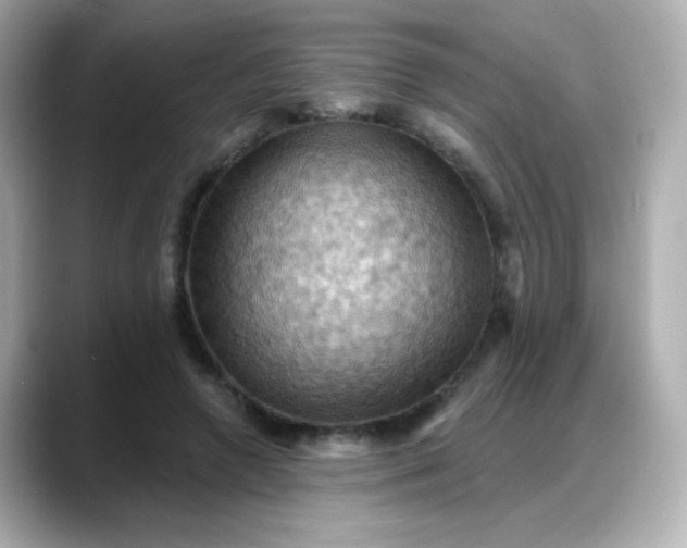 X0000088380546200706051101