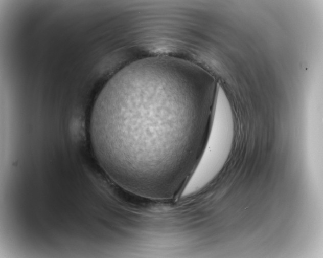 X0000088380547200706051101