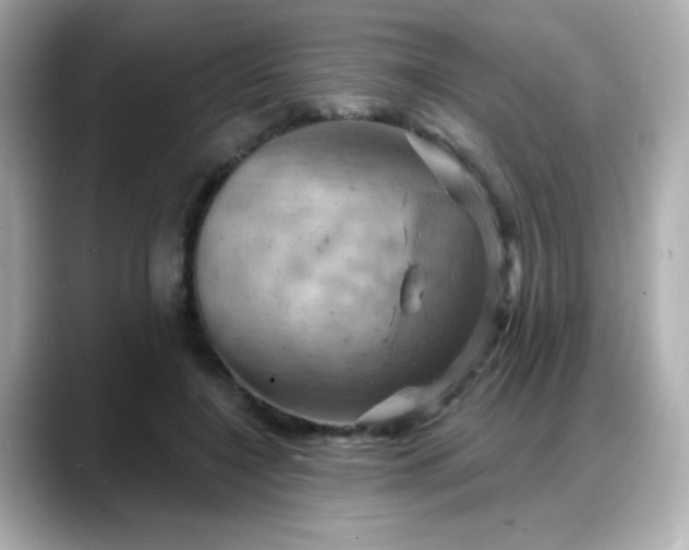 X0000088380548200706051101