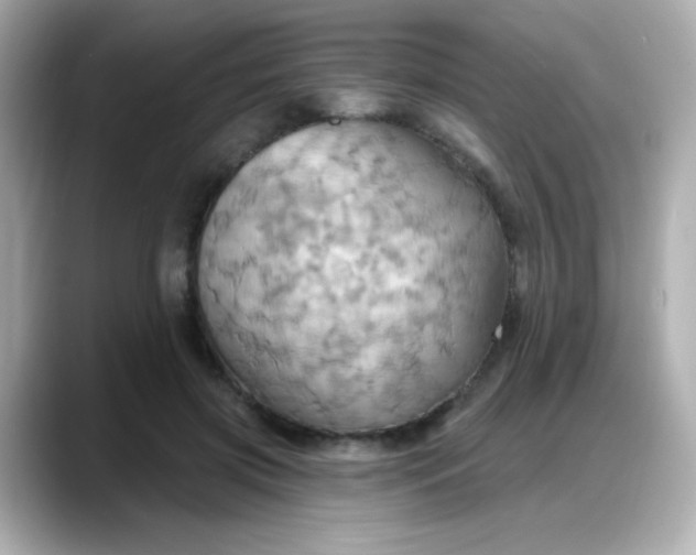 X0000088380549200706051101