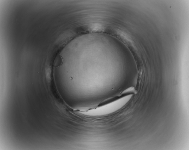 X0000088380550200706051101