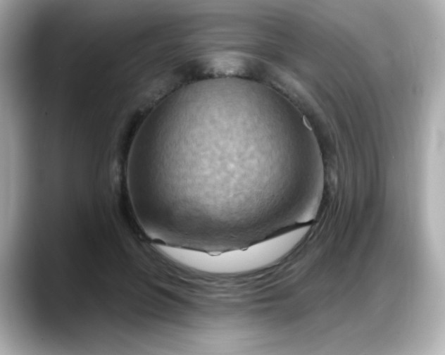 X0000088380551200706051101