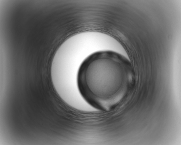 X0000088380552200706051101