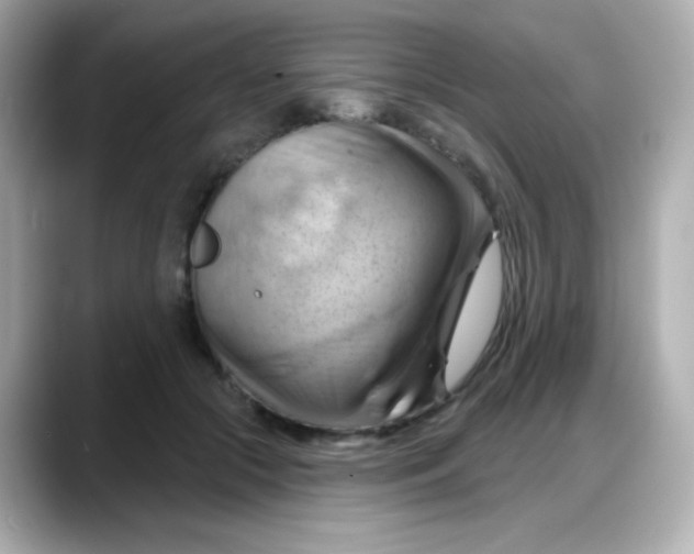 X0000088380553200706051101