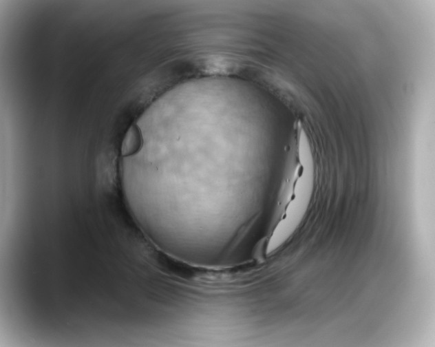 X0000088380554200706051101