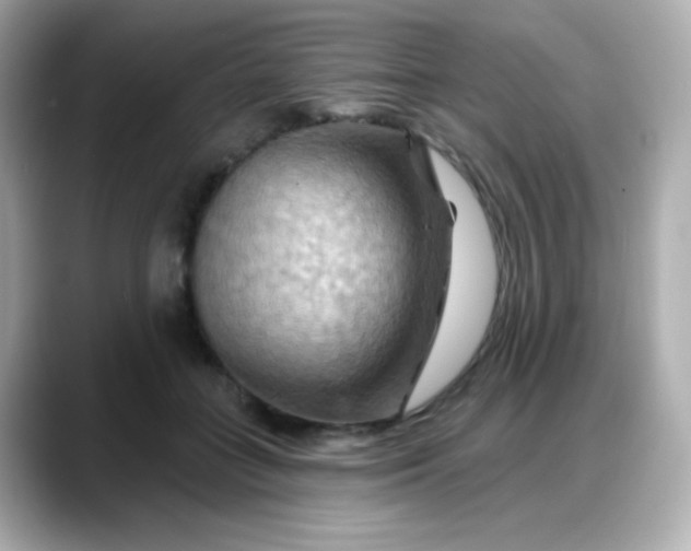 X0000088380555200706051101