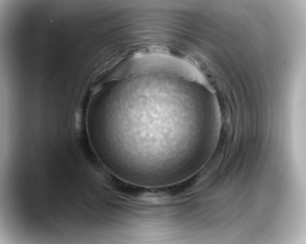 X0000088380556200706051101
