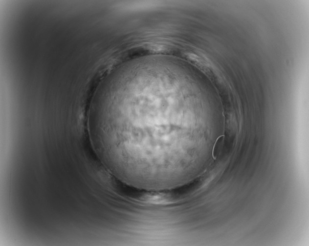 X0000088380557200706051101