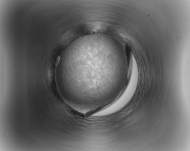 X0000088380558200706051101