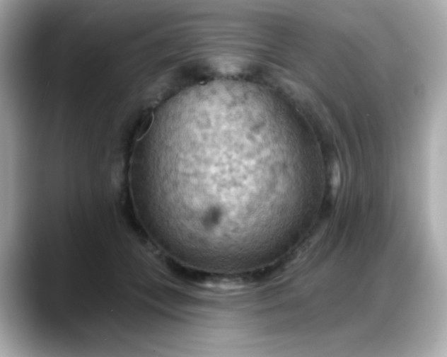 X0000088380559200706051101