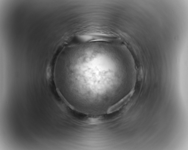 X0000088380560200706051101