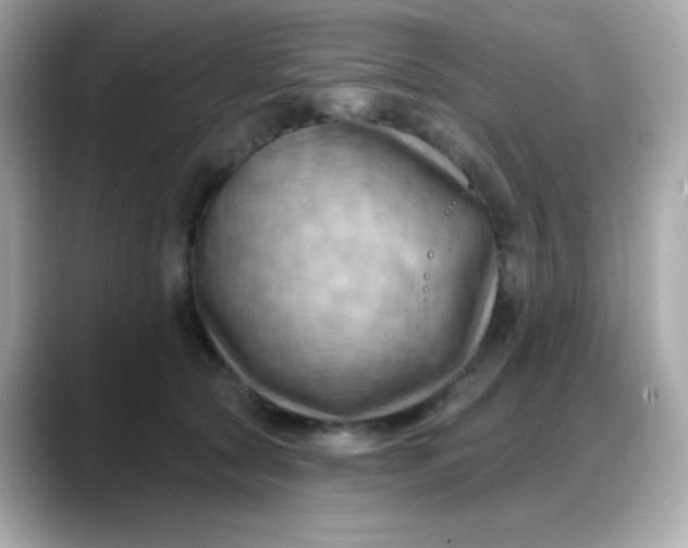 X0000088380561200706051101
