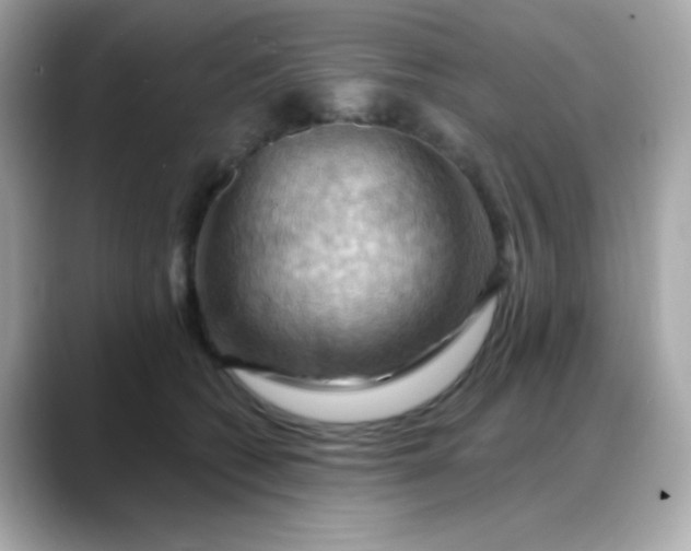 X0000088380562200706051101