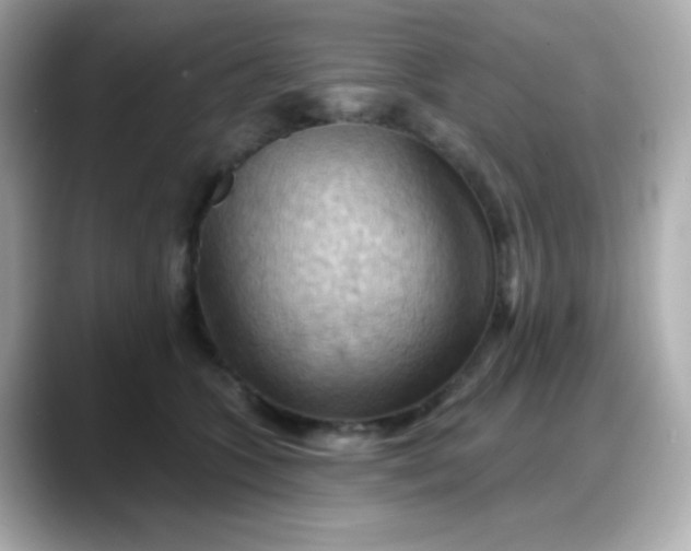 X0000088380563200706051101