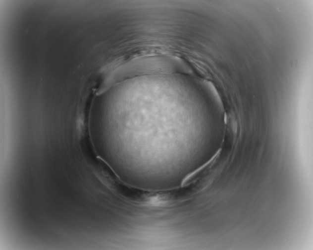 X0000088380564200706051101