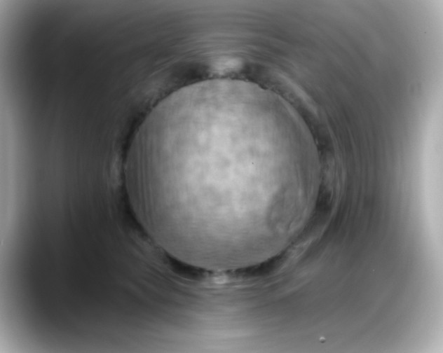 X0000088380565200706051101