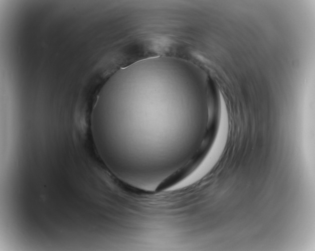 X0000088380566200706051101