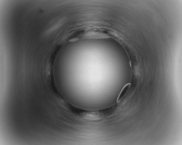 X0000088380567200706051101