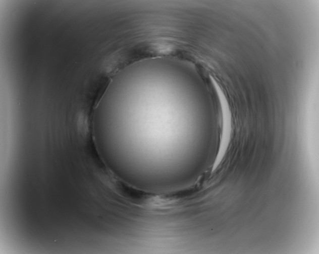 X0000088380568200706051101