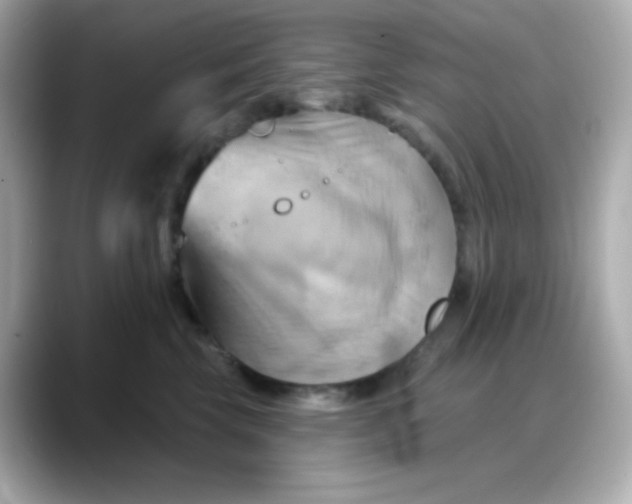 X0000088380569200706051101