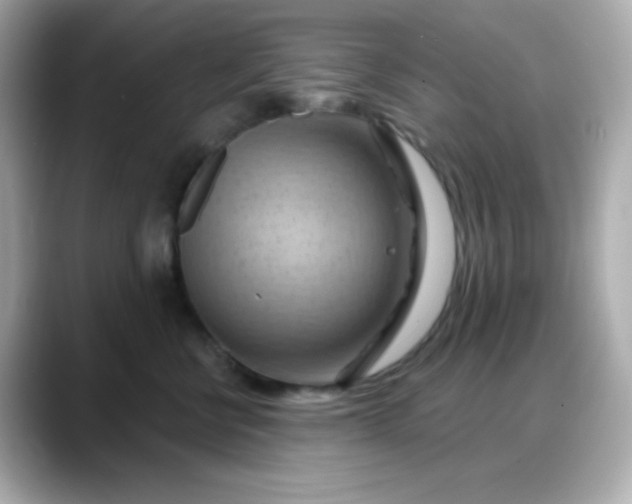 X0000088380570200706051101