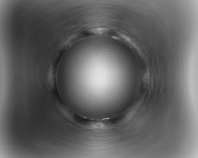 X0000088380572200706051101