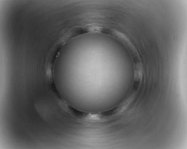 X0000088380573200706051101