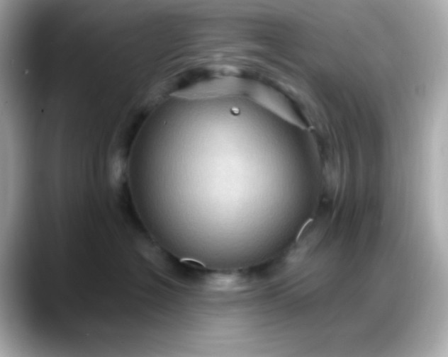 X0000088380574200706051102