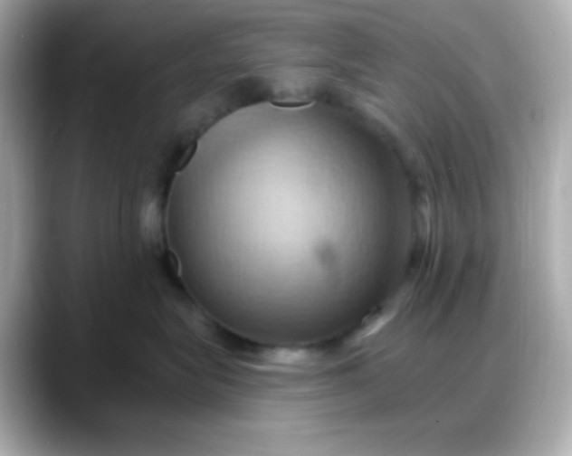 X0000088380575200706051102
