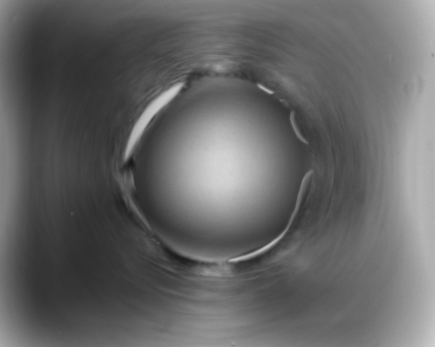 X0000088380576200706051102
