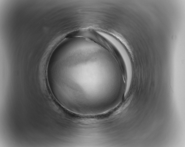 X0000088380577200706051101