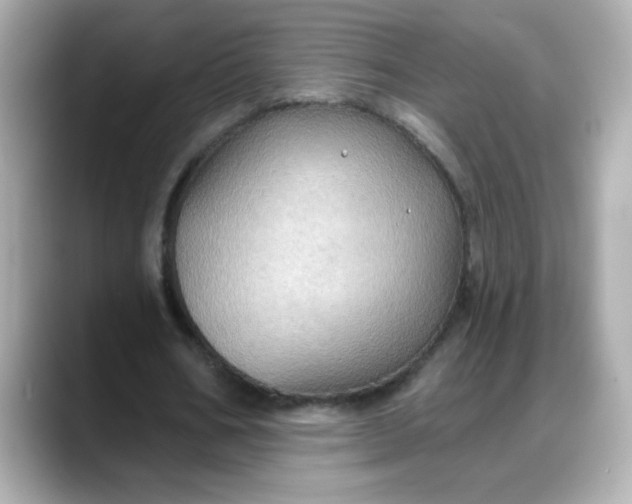 X0000088380578200706051101